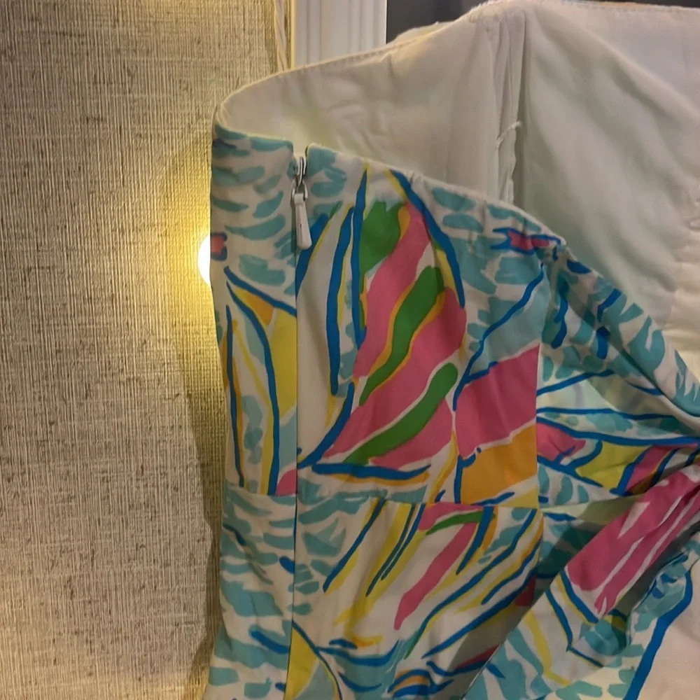 Lilly Pulitzer dress - Picture 4 of 5